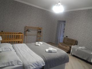 Nicola House in Borjomi - Bordschomi - 6
