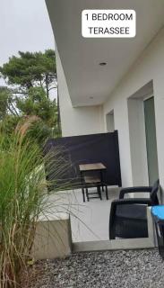 Le Courant - 1 Chambre avec une vue imprenable - Mimizan-Plage - 7