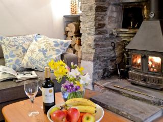 The Thatch Cottage - South Petherwin - 9