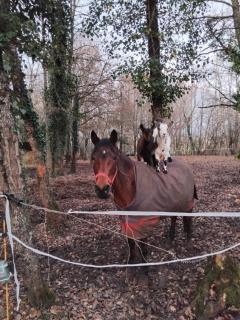 Gite de vacance perigord - 5