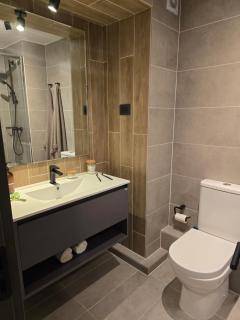 Hermoso Departamento Providencia cercano a Bellavista y Barrio Italia - Santiago - 3
