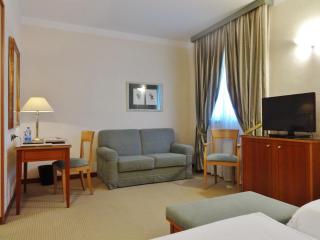 Hotel Excelsior Magenta - Magenta - 2