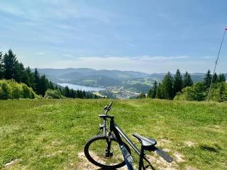 Heimatstub' Hinterzarten - Hinterzarten - 4