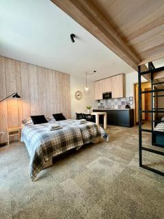 Apartmány na sjezdovce Dolní Morava - Dolní Morava - 8