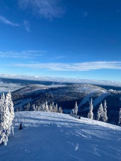 Lake Room - Sandpoint - 6