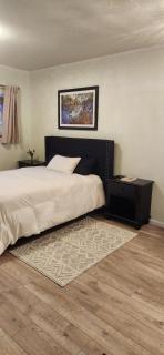 Lake Room - Sandpoint - 1