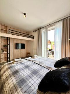 Apartmány na sjezdovce Dolní Morava - Dolní Morava - 9
