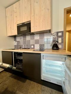 Apartmány na sjezdovce Dolní Morava - Dolní Morava - 5