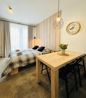 Apartmány na sjezdovce Dolní Morava - Dolní Morava - 4