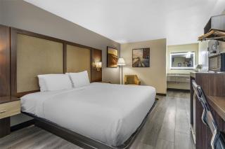 Best Western Salisbury Plaza - Salisbury - 7