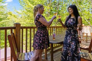 Log Cabin Hot tub near Tremblant - Labelle - 9