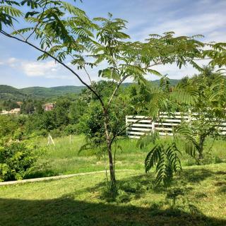 Fruskogorska Idila Apartmani - 3