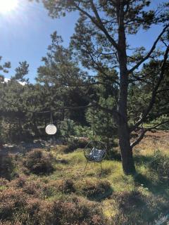 Summer House On Natural Grounds Among Pine Trees - Yderby - 2