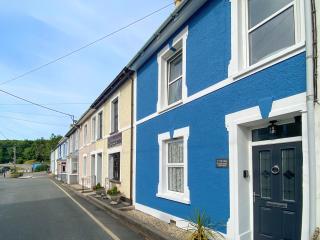 Y Ty Glas - Cottage - New Quay - 0