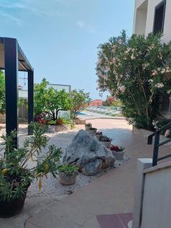 Villa Confido Luxury Apartment 01 - Seget Donji - 1