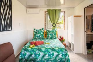Nahi Lodge - Bora Bora - 9