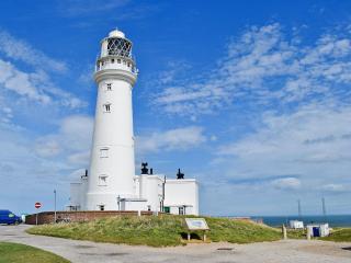 Swallow - Flamborough - 0