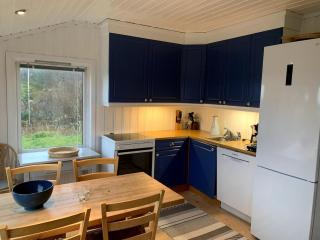 Cabin with great sea view on Flekkerøy Kristiansand - Kristiansand - 3