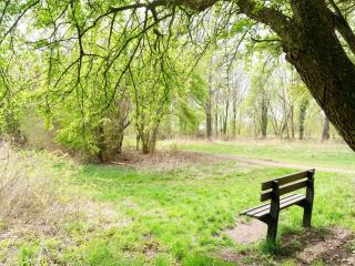 Holiday Home in Elim near Slagharen Park - 6