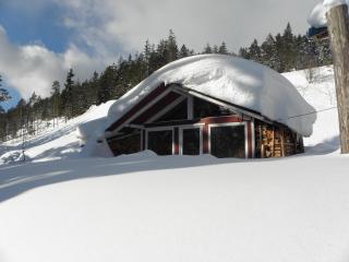 Appartements Hochegg - 2