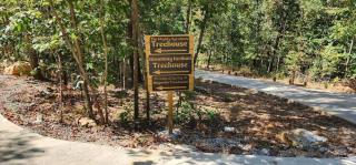 Blooming Redbud Treehouse with private hot tub - Wildwood - 5