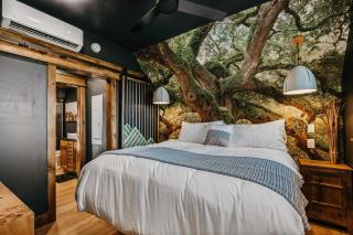 Live Oak Treehouse at Treetop Escapes - Wildwood - 9