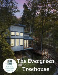The Evergreen Treehouse with Winter Views - Wildwood - 0
