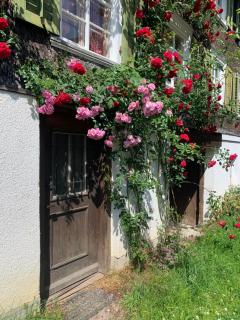 Historical Farmhouse Rosalie - Brunnadern - 4