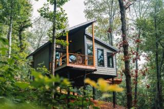 Summer Breeze at Willow Treehouse -Treetop Escapes - Wildwood - 0