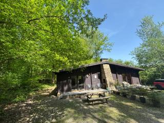 Forest Lodge - Petit Mesnil - 8