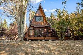 Pines and Peaks in Big Bear Lake - Big Bear Lake - 5