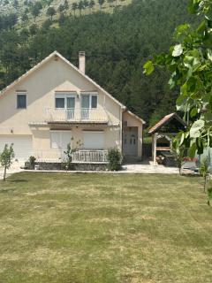Family house on the mountain - Krstac, Njegusi - Njeguši - 8