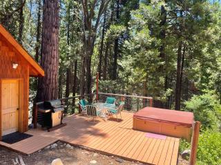 Root-Stone Lodge - Fern Valley - 5