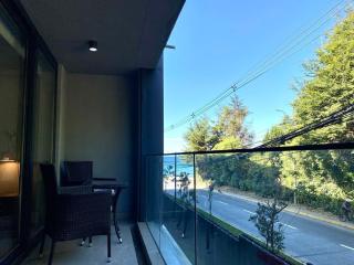 HOM I Conjunto frente al Lago con piscina temperada y estacionamiento - Puerto Varas - 9
