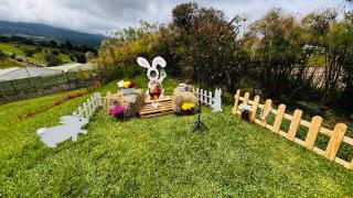 Hortensias Chalets Vara blanca - Heredia - 5