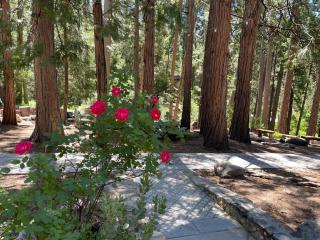 Root-Stone Lodge - Fern Valley - 1