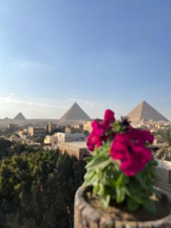 Hamza pyramids View - Cairo - 9
