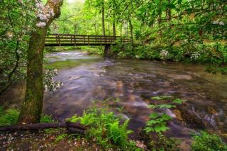 Happy Place by Avada Properties - Sevierville - 3
