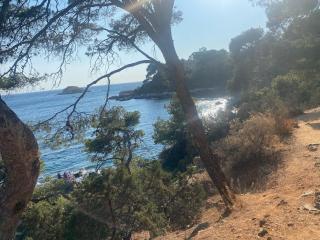 Maisonnette climatisée à louer 5 nuits minimum dans résidence fermée proche mer - Bandol - 2