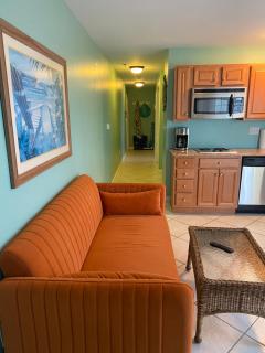 Seawall Strolls & Sunset Sips - Ocean View - 6