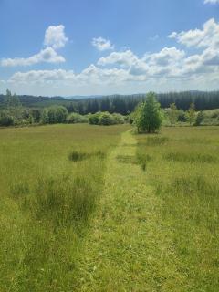 Bilberry Boreen Campsite - 9