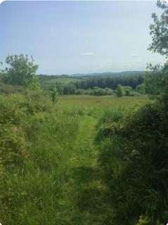 Bilberry Boreen Campsite - Macroom - 7