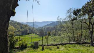 Freedoms Reins Farm B&B - Casalborgone - 6