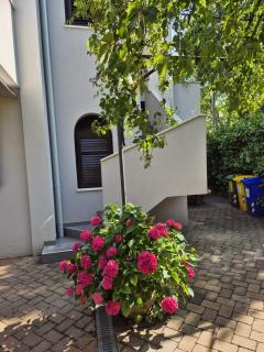 Apartments Val - Rovigno (Rovinj) - 3