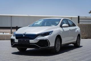 Car rental - Akaba - 1