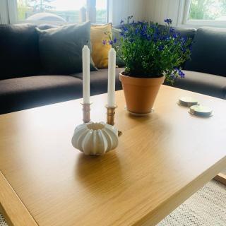 FF1007 Lovely summer cottage in Hejls - Hejls - 3