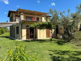 Olivella e Oleandra - Ginestra - 1