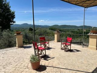 Olivella e Oleandra - Ginestra - 8