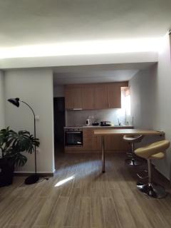 Stylish Central Studio - Larisa - 2
