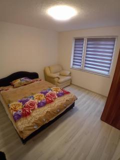 Delux house - Sarajevo - 1